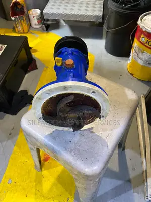 Original Electric Motor