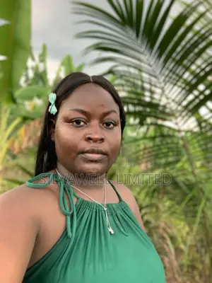 Fully Cultivated Land With Palm Trees And Plantains