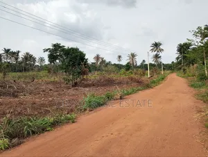 Land Deal You Can’T Miss