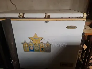 Thermocool Freezer