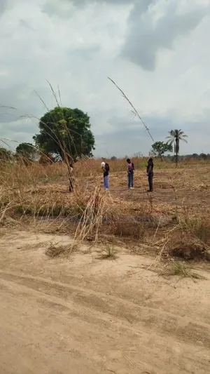Plots of Lands Available for Sale in an Agro Land