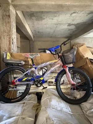 Size 20 Bmx Bicycle