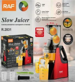 Raf Slow Juicer