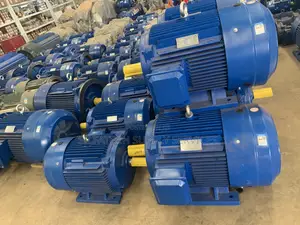 Electric Motors