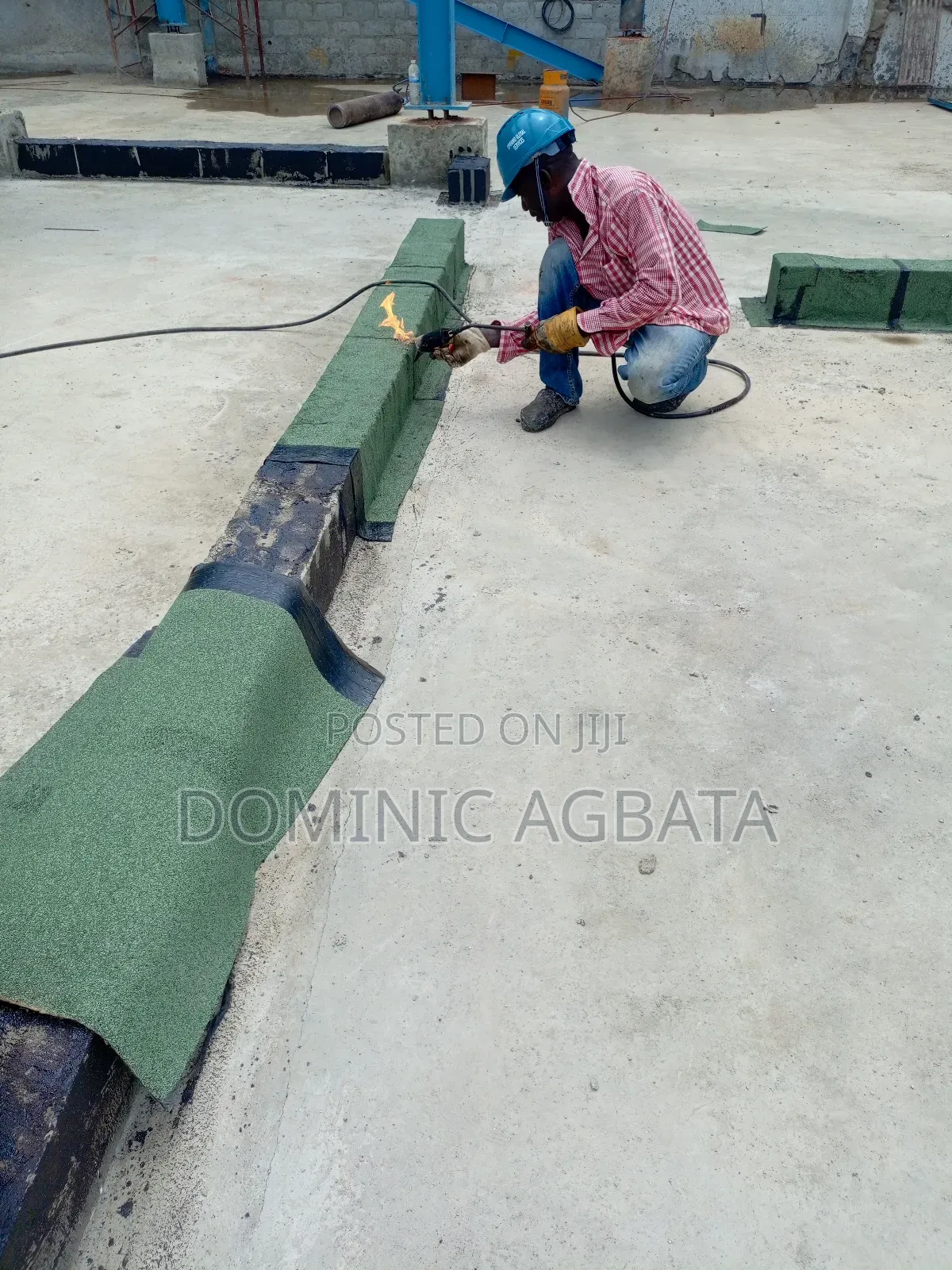 Introspection Damp-Proof Course