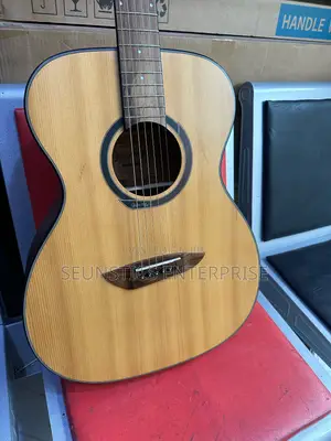 Quality Gopher Wood Acoustic Guitar