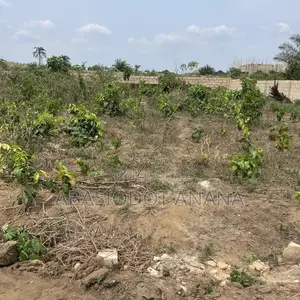 Osongoma Estate 1000sqm All Documents Intact