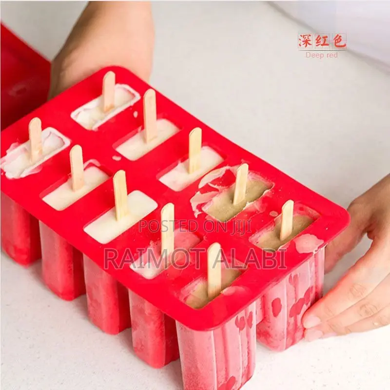 10 Cavity Popsicle Mold With Accessories