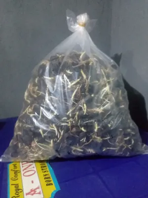 Super Hybrid Tenera Seeds