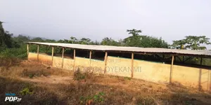 Land And Property
