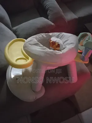 2 in 1 Baby Dining Chair