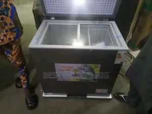 Original Snowsea Deep Freezer