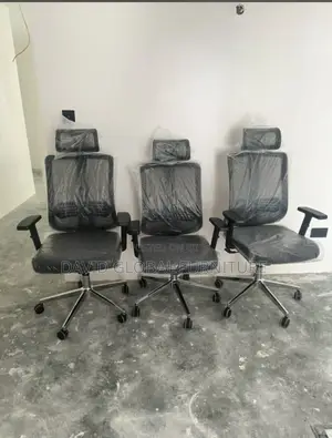 Adjustable Office Chair (Butterfly)