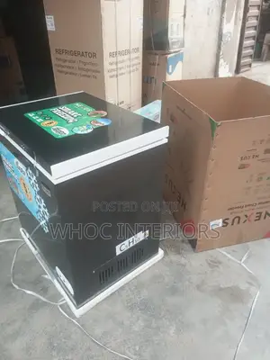 160 Liters Nexus Inverter Chest Freezer