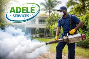 Adele Cleaning Service