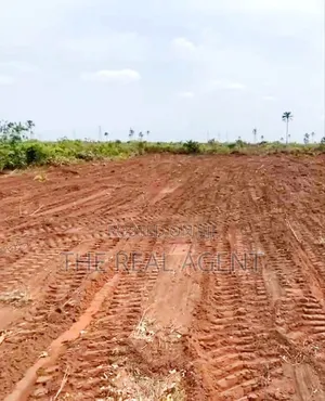 Property Listing