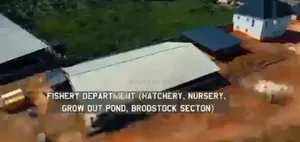 Live Stock Farm 4 Sale At Benin City, Edo State, Nigeria.