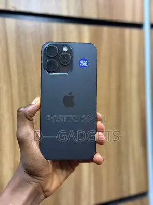 Apple iPhone 15 Pro Max 256 GB Black