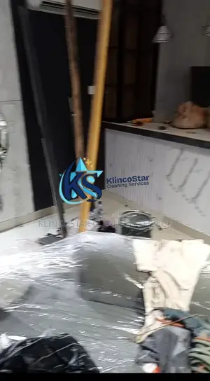 Professional Cleaning Service