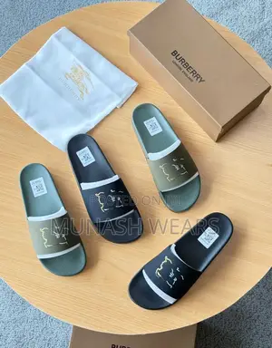 Burberry and Nike Slide