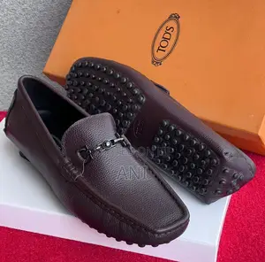 Loafers Shoe