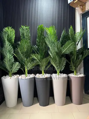 Palm Potted Plant