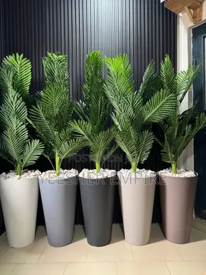 Palm Potted Plant