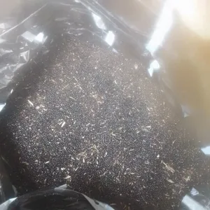 Vegetable Seeds