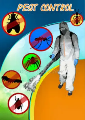 Peterside Cleaning And Fumigation Services