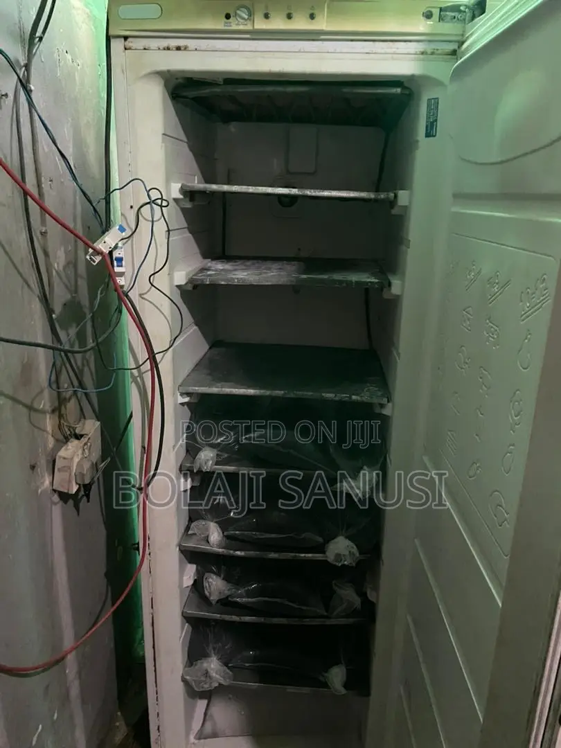 Ice Block Freezer Upright