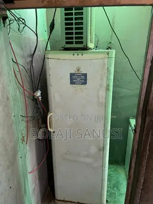Ice Block Freezer Upright
