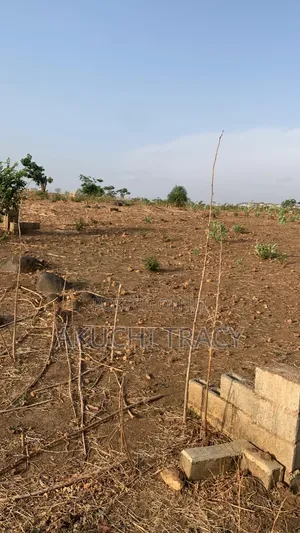 Plot of Land