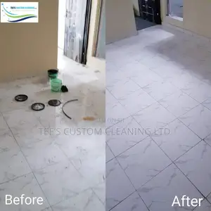 Professional Cleaning and Fumigation Services
