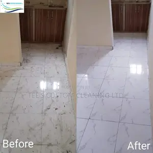 Professional Cleaning and Fumigation Services