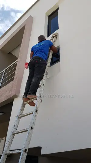 Professional Cleaning and Fumigation Services