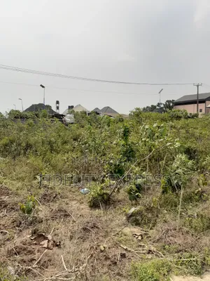 2plots Residential Purpose Land at Gra Nta Rd , Ph