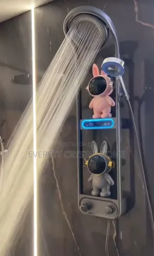 Luxury Mixer Executive Shower