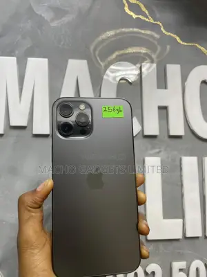 Apple iPhone 12 Pro Max 256 GB Black