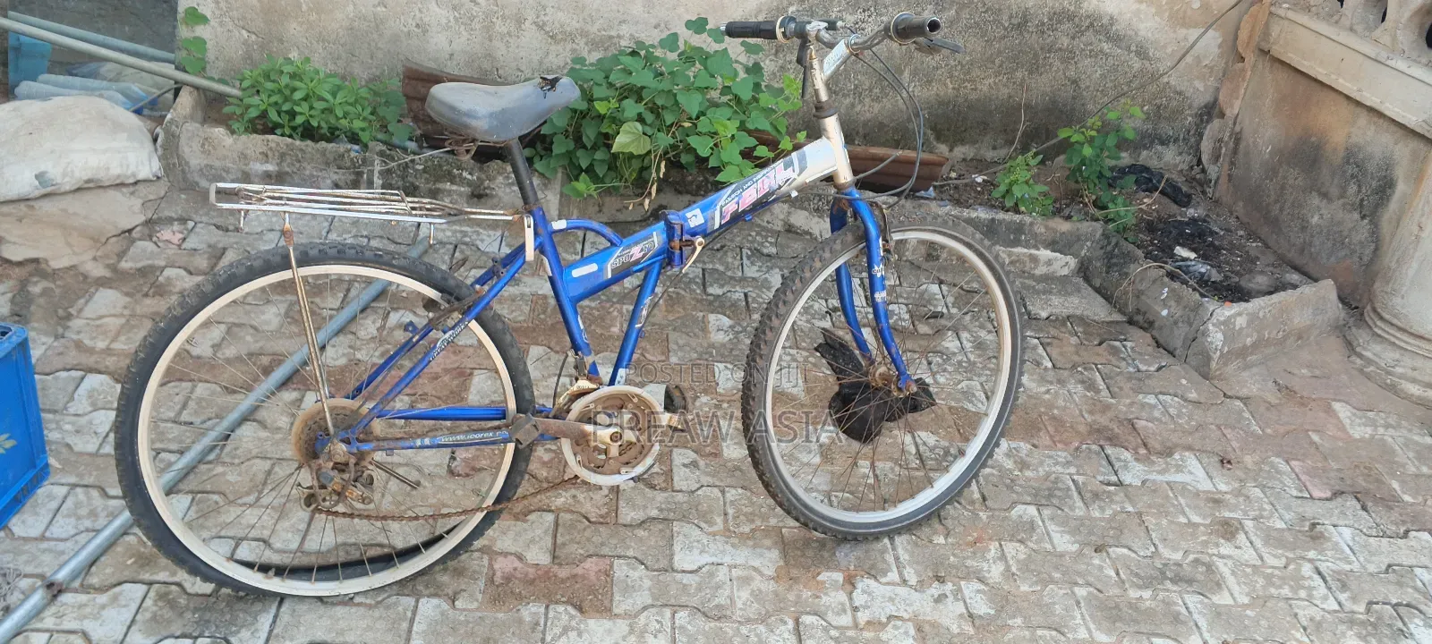Used Bicycle