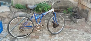 Used Bicycle