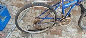 Used Bicycle