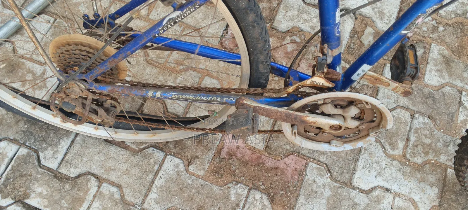 Used Bicycle