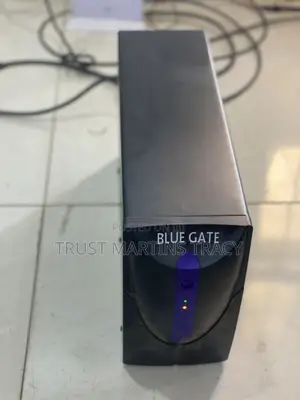 Blue Gate Ups