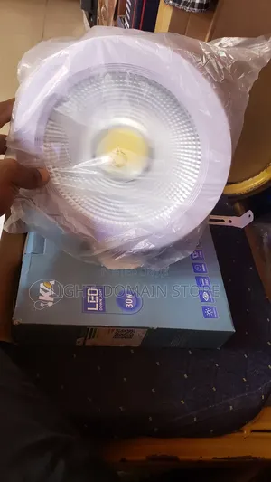 Quality 30w Cob Surface