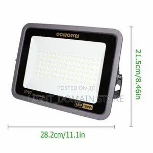 High Quality 100w Flood Light