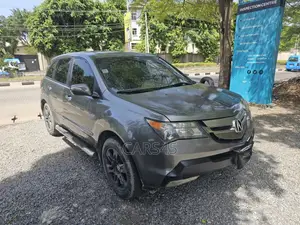 Acura MDX 2007 Gray