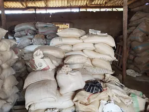 Fish and Chicken Feed