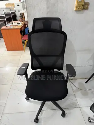 Mesh Chair With Low Back Rest