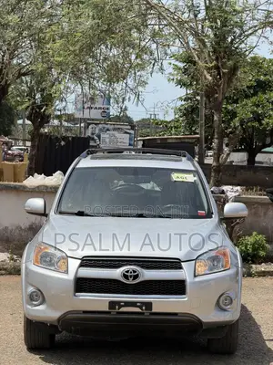 Toyota RAV4 2010 Silver