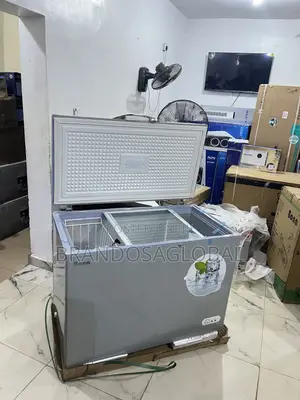 Bona 308l Inverter Chest Freezer Bd-004 – Durable Storage Freezer